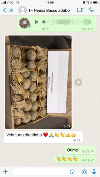 Depoimento WhatsApp - Neusa Basso