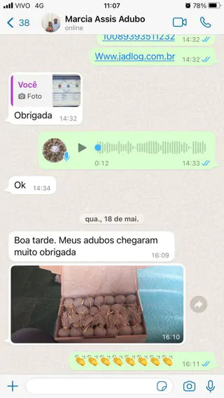 Depoimento WhatsApp - Marcia Assis
