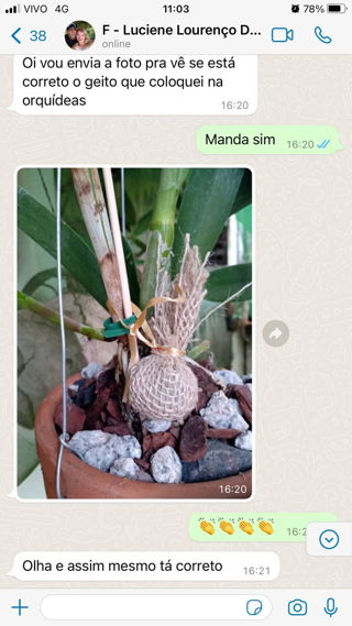 Depoimento WhatsApp - Luciene Lourenço