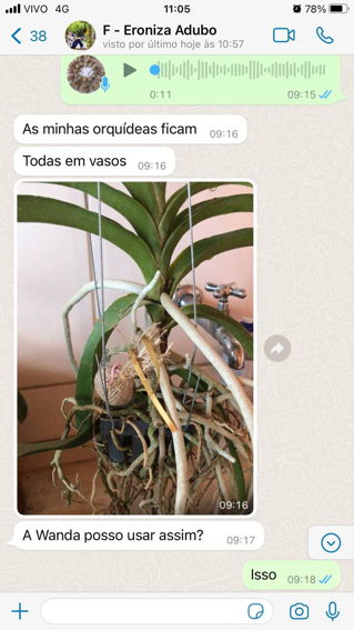 Depoimento WhatsApp - Eroniza